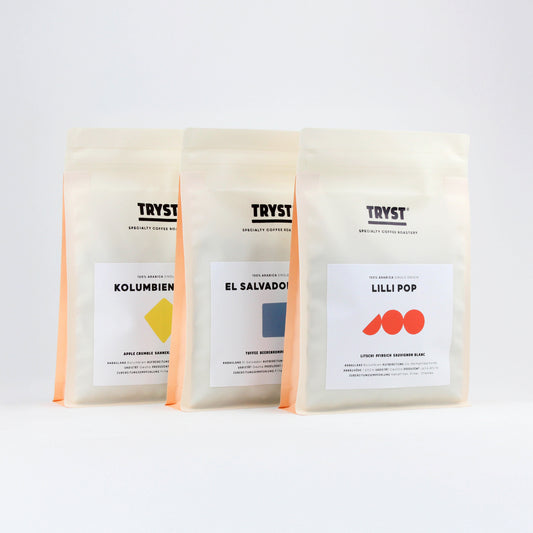 3 x 250g Filter Bundle (pro)