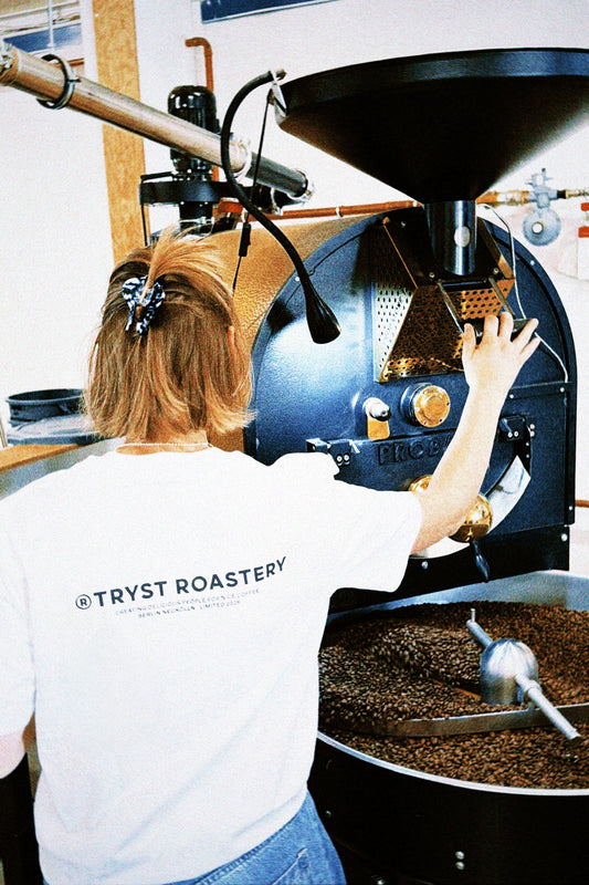 TRYST Limited Crew 2026