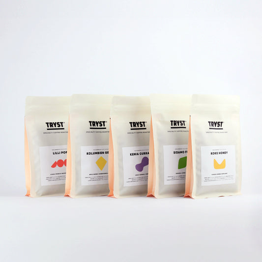 3 x 250g Filter Bundle (pro)
